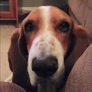 Meet your Posher, Kim